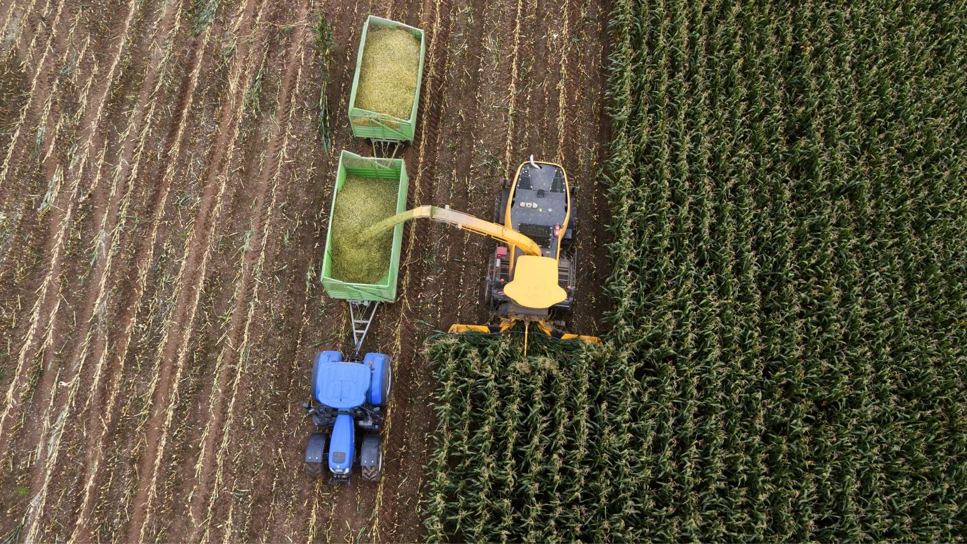 Definita la procedura per le consulenze tecnico-agronomiche