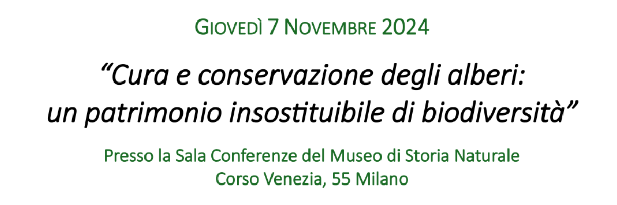 Cura e conservazione degli alberi: un patrimonio insostituibile di biodiversità