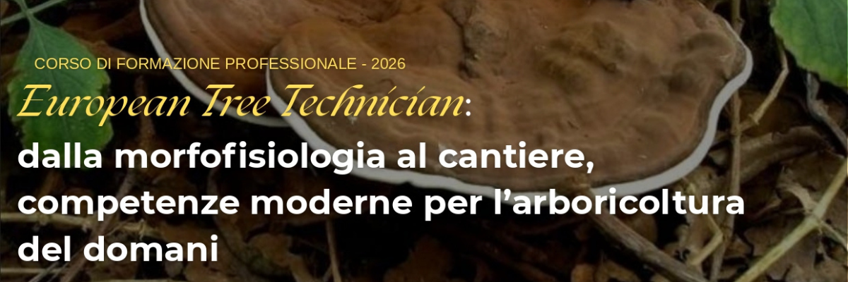 Corso European Tree Technician 2026: competenze avanzate per l’arboricoltura del futuro